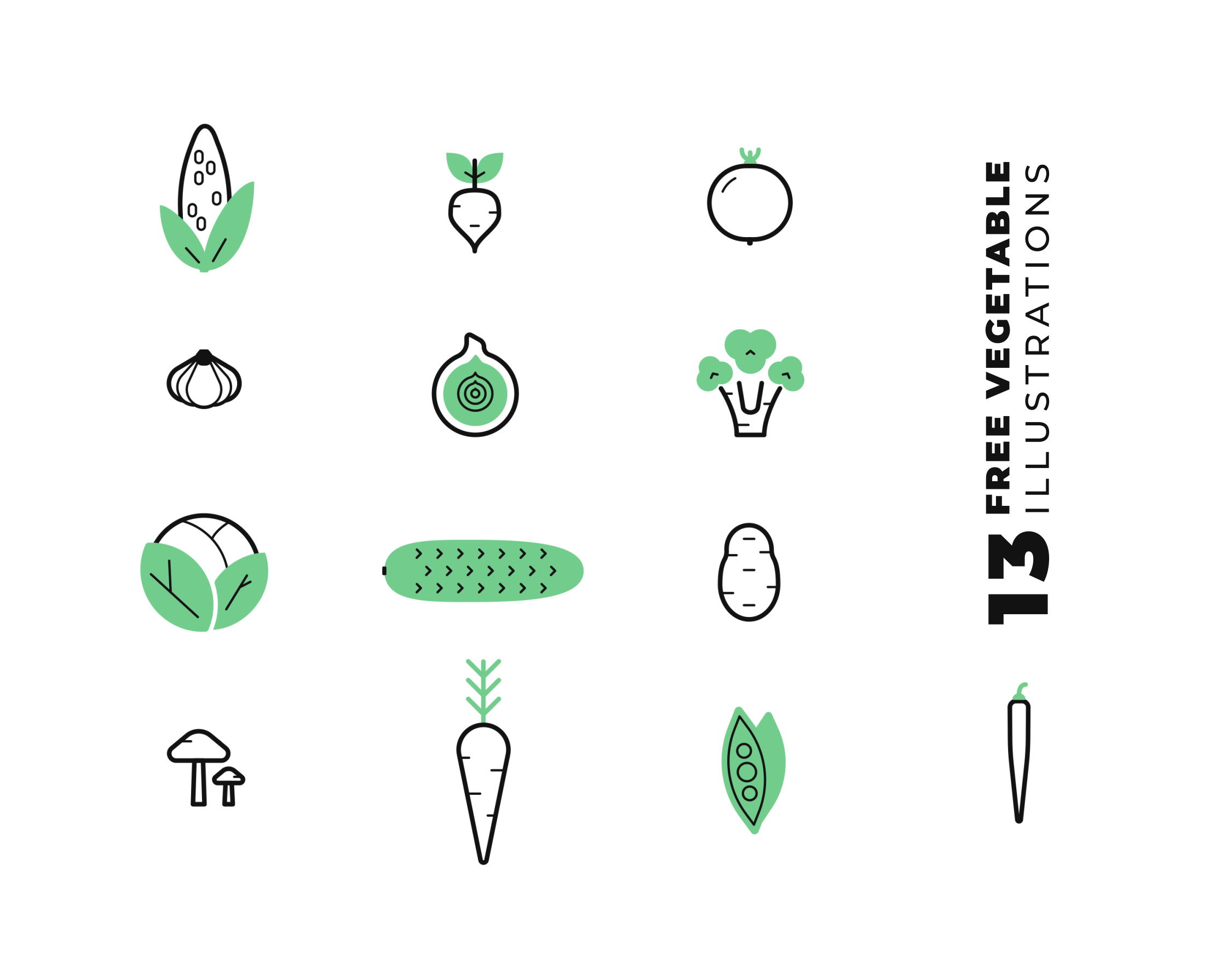 Veggie Illustration Animation Preview File